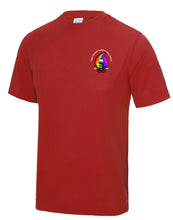 Load image into Gallery viewer, Hafod Primary Unisex T-shirt (NO REFUNDS OR EXCHANGES)