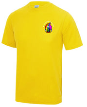 Load image into Gallery viewer, Hafod Primary Unisex T-shirt (NO REFUNDS OR EXCHANGES)
