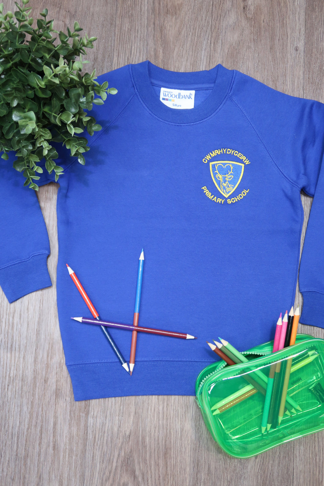 Cwmrhydyceirw Primary Unisex Sweatshirt