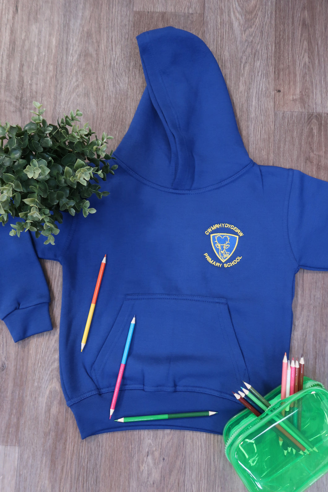 Cwmrhydyceirw Primary Unisex Hood