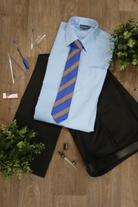 Pentrehafod School Tie